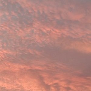 Meet your Posher, Mich